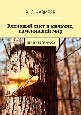 Р. Назмеев Кленовый лист и мальчик, изменивший мир. Берегите природу! обложка книги