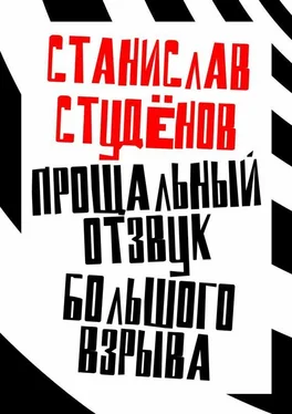 Станислав Студёнов Прощальный отзвук Большого взрыва обложка книги