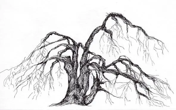 Глава 13 Что делать будем спросил Варка глядя в темноту раннего зимнего - фото 11