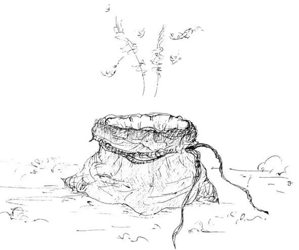 Глава 6 Варка со всех ног летел по Колокольному переулку Семечко разрывтравы - фото 5