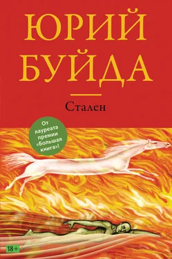 Юрий Буйда Стален обложка книги