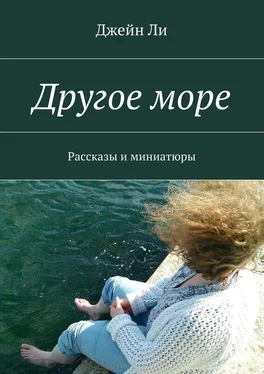 Джейн Ли Другое море. Рассказы и миниатюры обложка книги