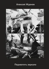 Алексей Жданов - Подхватить зеркало. Роман с самим собой