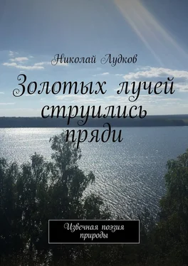 Николай Лудков Золотых лучей струились пряди. Извечная поэзия природы обложка книги