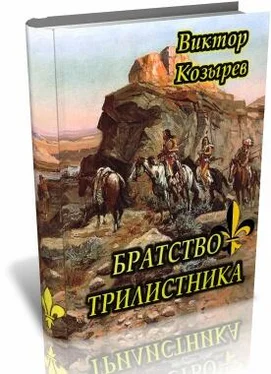 Виктор Козырев Братство Трилистника обложка книги