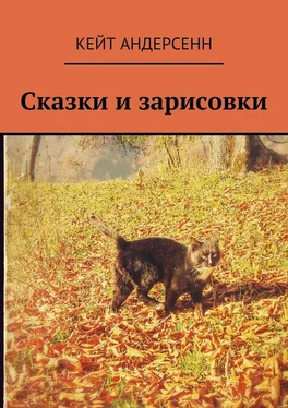 Кейт Андерсенн Сказки и зарисовки обложка книги