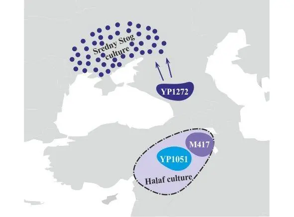 Рис12 Географическая локализация носителей субкладов R1aYP1272 R1aYP1051 и - фото 12