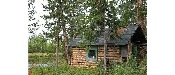 Избушказимовье И действительно было чему радоваться Почти вслед за выходом к - фото 9