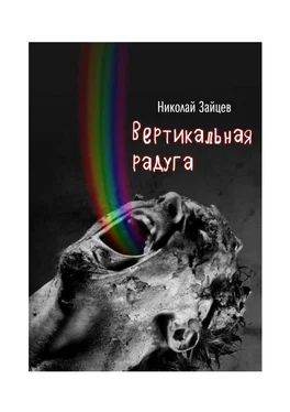 Николай Зайцев Вертикальная радуга обложка книги