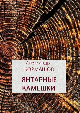 Александр Кормашов Янтарные камешки. рассказы обложка книги