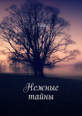 Misty Нежные тайны. Gentle mysteries обложка книги