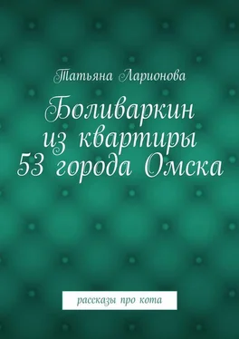 Татьяна Ларионова Боливаркин из квартиры 53 города Омска. Рассказы про кота обложка книги