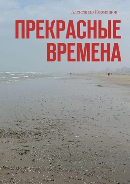 Александр Кормашов Прекрасные времена обложка книги