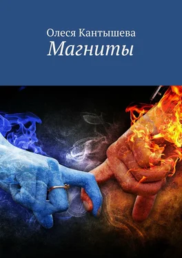 Олеся Кантышева Магниты обложка книги