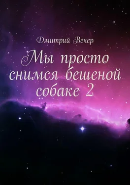 Дмитрий Вечер Мы просто снимся бешеной собаке 2 обложка книги