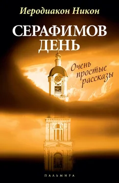 Никон (Муртазов) Серафимов день (сборник) обложка книги