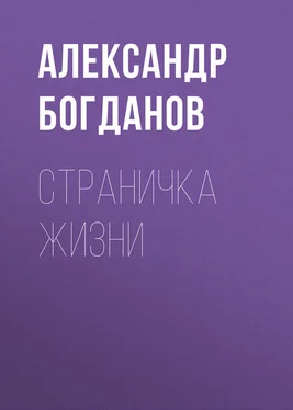 Александр Богданов Страничка жизни обложка книги