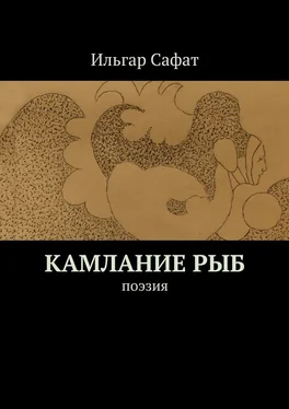 Ильгар Сафат Камлание рыб. Поэзия обложка книги
