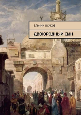 Эльчин Исаков Двоюродный сын обложка книги