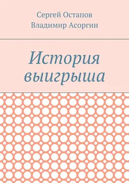 Владимир Асоргин История выигрыша обложка книги