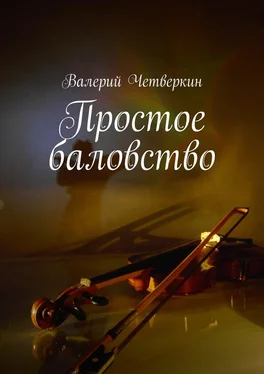 Валерий Четверкин Простое баловство. 2016 г.