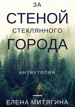 Елена Митягина За стеной стеклянного города. Антиутопия обложка книги