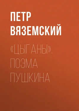 Петр Вяземский «Цыганы». Поэма Пушкина обложка книги