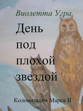 Виолетта Угра День под плохой звездой. Колонизация Марса II обложка книги