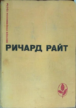 Ричард Райт Почти мужчина. После наводнения обложка книги