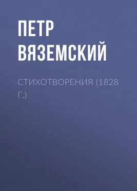 Петр Вяземский Стихотворения (1828 г.) обложка книги