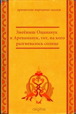 Народное творчество (Фольклор) Змеёныш Оцаманук и Ареваманук, тот, на кого разгневалось солнце обложка книги