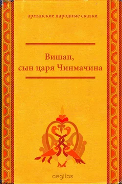 Народное творчество (Фольклор) Вишап, сын царя Чинмачина обложка книги