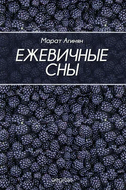 Марат Агинян Ежевичные сны обложка книги