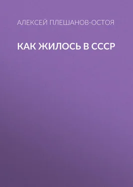 Алексей Плешанов-Остоя Как жилось в СССР обложка книги