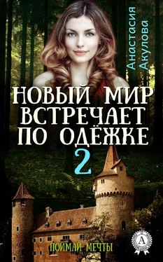 Анастасия Акулова Новый мир встречает по одёжке – 2. Поймай мечты обложка книги