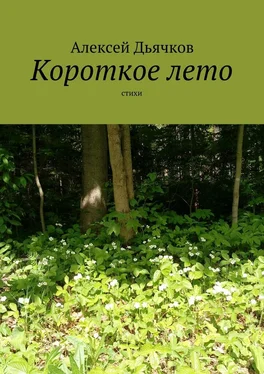 Алексей Дьячков Короткое лето. Стихи обложка книги