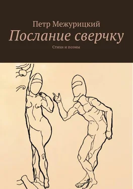 Петр Межурицкий Послание сверчку. Стихи и поэмы обложка книги