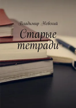 Владимир Невский Старые тетради обложка книги