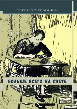 Терентiй Травнiкъ Больше всего на свете. Философские размышления обложка книги