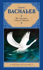 Борис Васильев - Не стреляйте в белых лебедей (сборник)