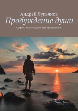Андрей Лукьянов Пробуждение души. Секреты личного духовного пробуждения обложка книги