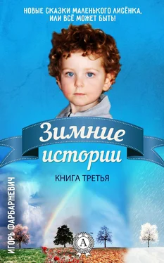 Игорь Фарбаржевич Зимние истории обложка книги