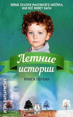 Игорь Фарбаржевич Летние истории обложка книги