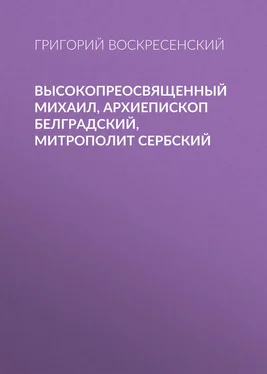 Григорий Воскресенский Высокопреосвященный Михаил, архиепископ Белградский, митрополит Сербский обложка книги