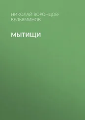Николай Воронцов-Вельяминов - Мытищи