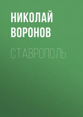 Николай Воронов Ставрополь обложка книги