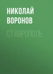 Николай Воронов - Ставрополь