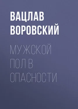 Вацлав Воровский Мужской пол в опасности обложка книги