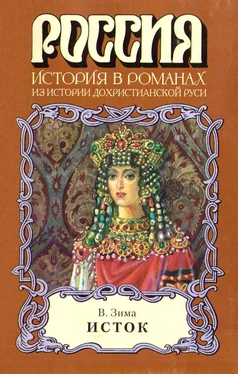 Владимир Зима Исток обложка книги