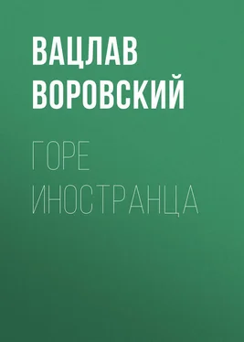 Вацлав Воровский Горе иностранца обложка книги